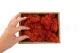 Konserviertes Islandmoos Orange (Creabox S) 5
