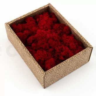 Lichen stabilis&eacute; Rouge (Creabox S)