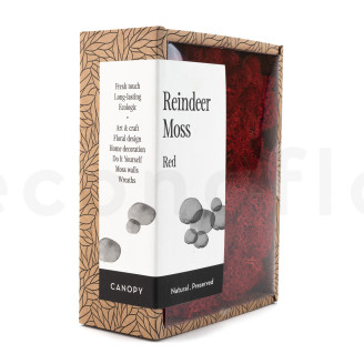 Lichen Préservé - Creabox - Rouge