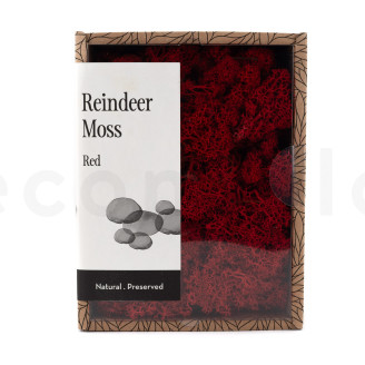 Preserved Reindeer Moss - Creabox - Red