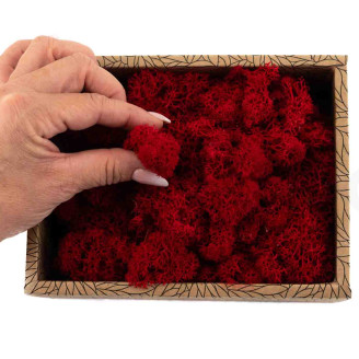 Lichen Préservé - Creabox - Rouge