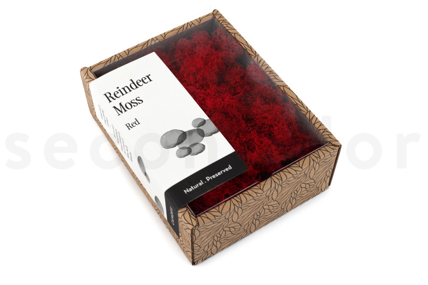 Lichen Préservé - Creabox - Rouge