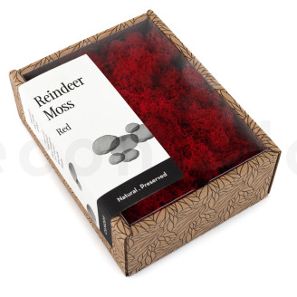 Lichen Préservé - Creabox - Rouge