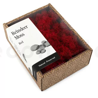 Lichene stabilizzato - Creabox S - Rosso
