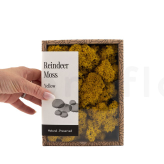 Lichen Préservé - Creabox - Jaune