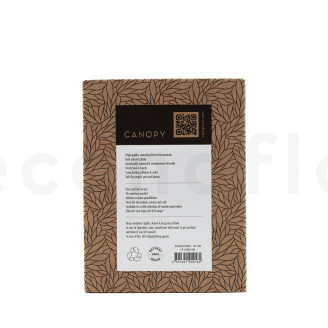 Lichene stabilizzato - Creabox - Giallo