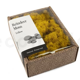 Preserved Reindeer Moss Yellow (Creabox S)