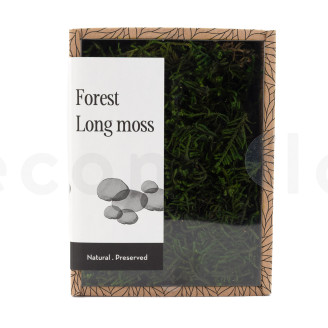Mousse Longue Préservée - Creabox - Vert