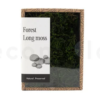 Mousse Longue stabilis&eacute;e (Creabox S)