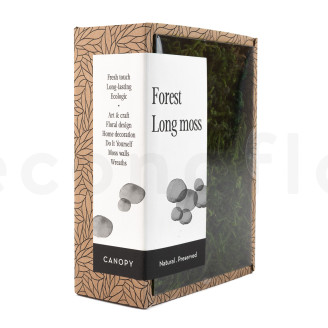 Long Moss Preserved - Creabox - Green
