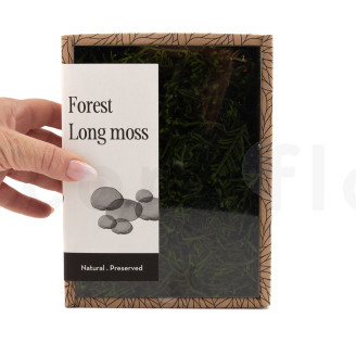 Long Moss Preserved - Creabox - Green