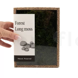 Mousse Longue stabilis&eacute;e (Creabox S)