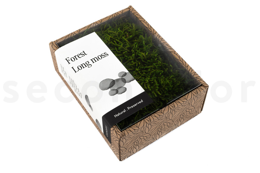 Mousse Longue Préservée - Creabox - Vert
