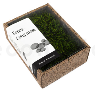 Mousse Longue Préservée - Creabox - Vert