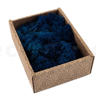 Lichen Préservé - Creabox - Royal Blue