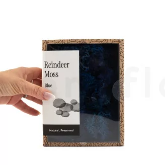 Lichen stabilis&eacute; Bleu (Creabox S)