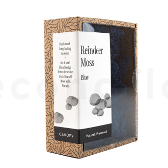 Preserved Reindeer Moss - Creabox - Royal Blue