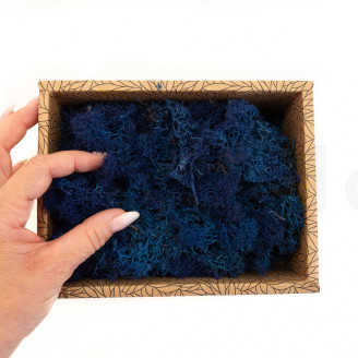 Lichen Préservé - Creabox - Royal Blue