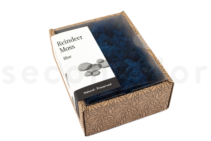 Preserved Reindeer Moss - Creabox - Royal Blue