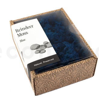 Lichene preservato - Creabox S - Royal Blue