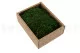 Musgo Plano preservado (Creabox S) 4