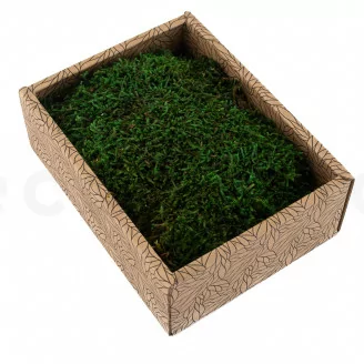 Mousse Plate stabilis&eacute;e (Creabox S)