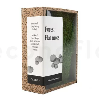 Mousse Plate stabilis&eacute;e (Creabox S)