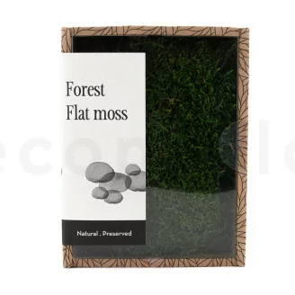 Preserved Flat Moss (Creabox S)