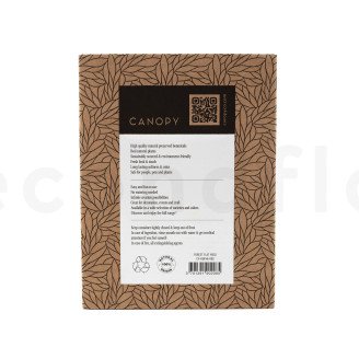 Flat Moss Preserved - Creabox - Green