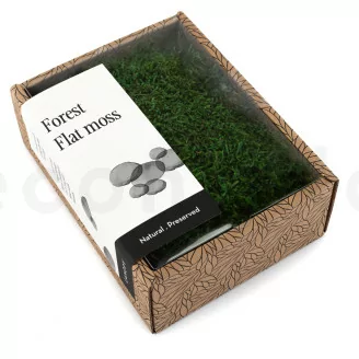 Mousse Plate stabilis&eacute;e (Creabox S)