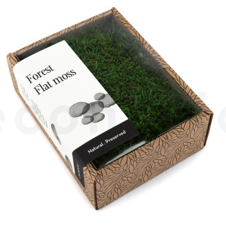 Muschio piatto stabilizzato - Creabox S - Verde
