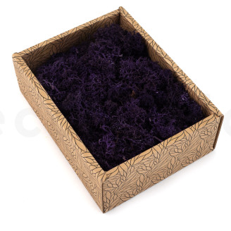 Lichen Préservé - Creabox - Violet