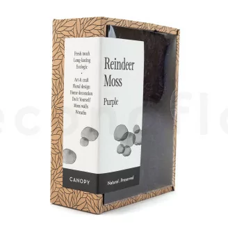 Preserved Reindeer Moss Purple (Creabox S)