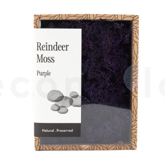 Lichen Préservé - Creabox - Violet