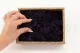 Liquen preservado Morado (Creabox S) 6