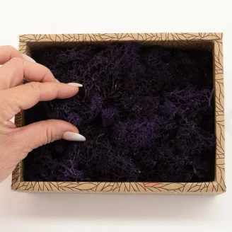 Lichen stabilis&eacute; Violet (Creabox S)