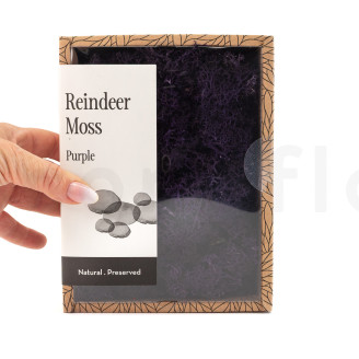 Preserved Reindeer Moss - Creabox - Purple
