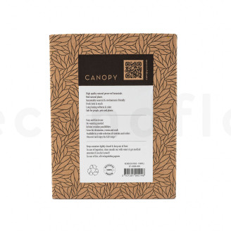 Liquen preservado - Creabox - Morado