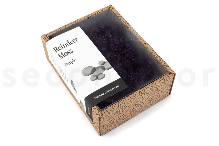 Lichen Préservé - Creabox - Violet