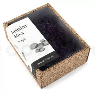 Konserviertes Islandmoos Violett (Creabox S)