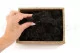 Lichene stabilizzato Nero (Creabox S) 5