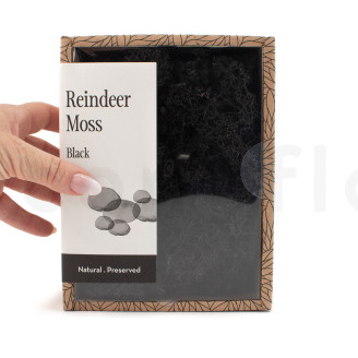Preserved Reindeer Moss - Creabox - Black