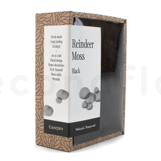 Preserved Reindeer Moss - Creabox - Black
