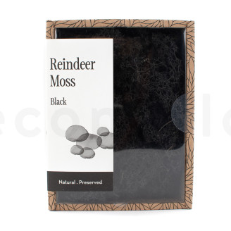 Preserved Reindeer Moss - Creabox - Black