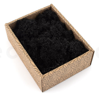 Lichen Préservé - Creabox - Noir