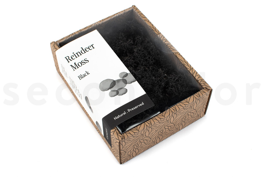 Lichen Préservé - Creabox - Noir
