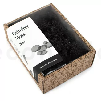 Konserviertes Islandmoos Schwarz (Creabox S)