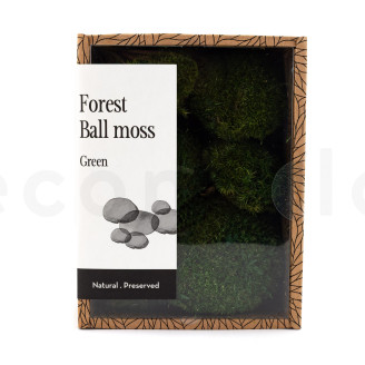 Mini Muschio a sfera stabilizzato - Creabox S - Nature Green