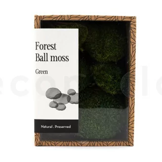 Preserved Mini Ball Moss Nature Green (Creabox S)