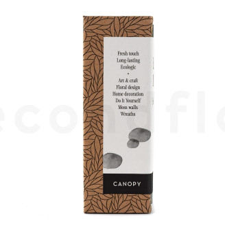 Mini Muschio a sfera preservato - Creabox - Nature Green